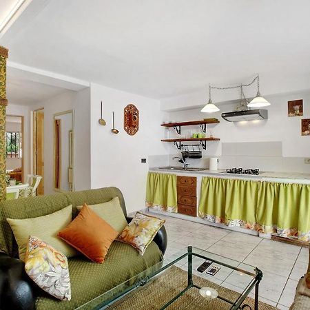 Apartamento Jardin Del Sol Tacoronte Buitenkant foto