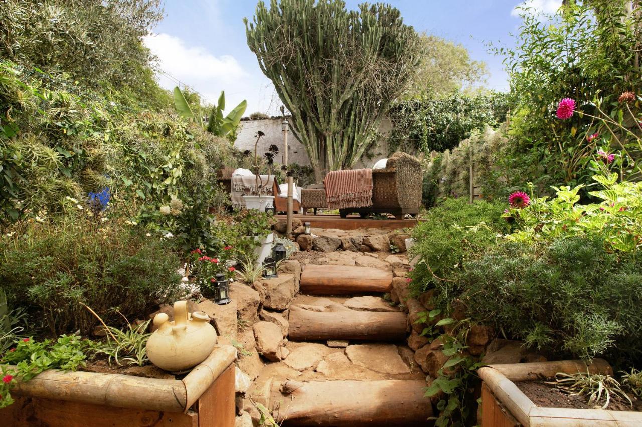 Apartamento Jardin Del Sol Tacoronte Buitenkant foto